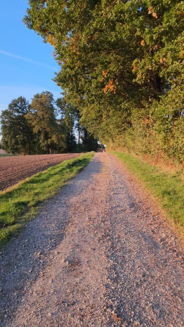 Fewo Harling - Waldoase - Handwerker Auf Anfrage Bad Iburg Buitenkant foto