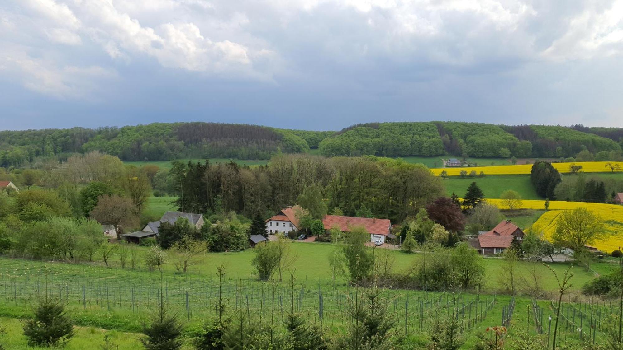Fewo Harling - Waldoase - Handwerker Auf Anfrage Bad Iburg Buitenkant foto