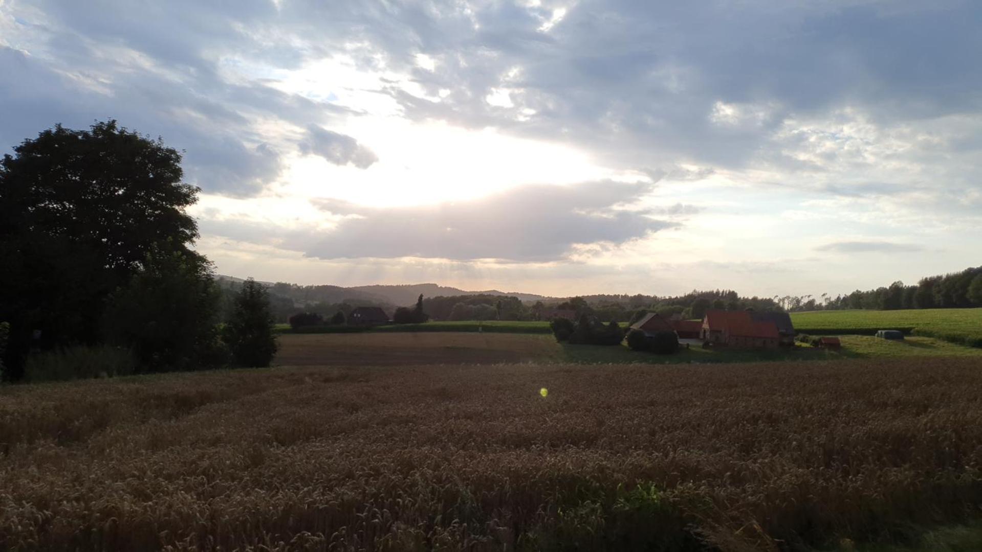 Fewo Harling - Waldoase - Handwerker Auf Anfrage Bad Iburg Buitenkant foto
