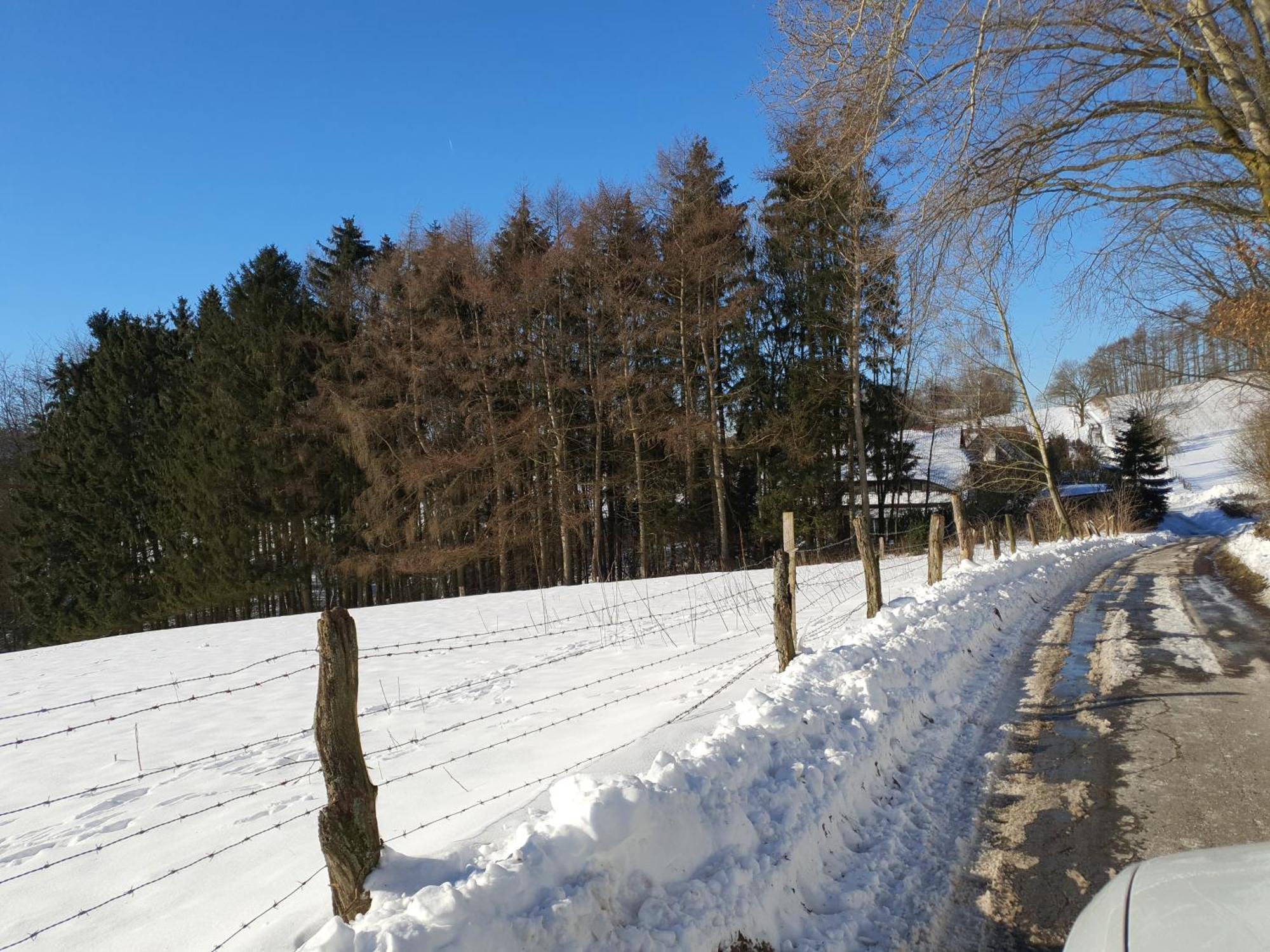 Fewo Harling - Waldoase - Handwerker Auf Anfrage Bad Iburg Buitenkant foto