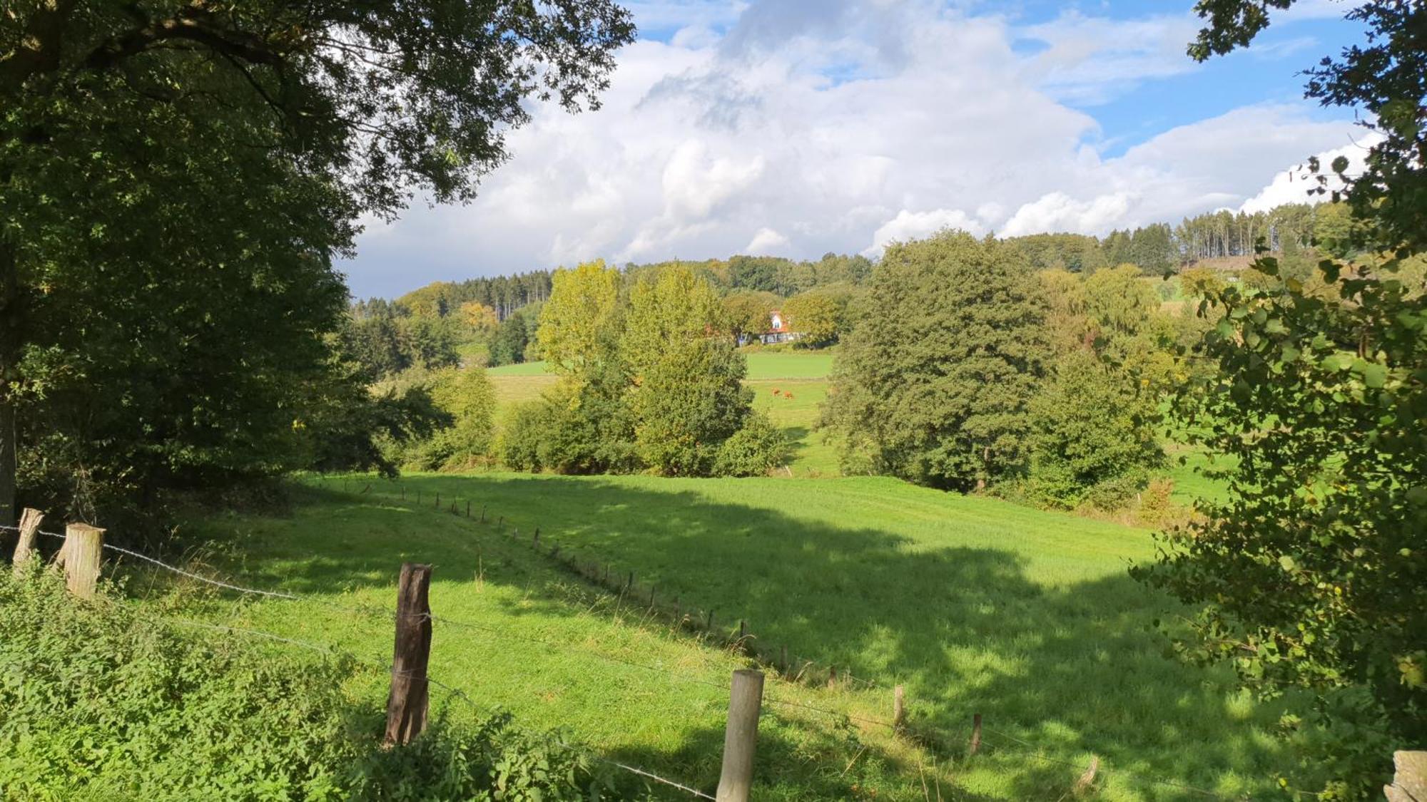 Fewo Harling - Waldoase - Handwerker Auf Anfrage Bad Iburg Buitenkant foto